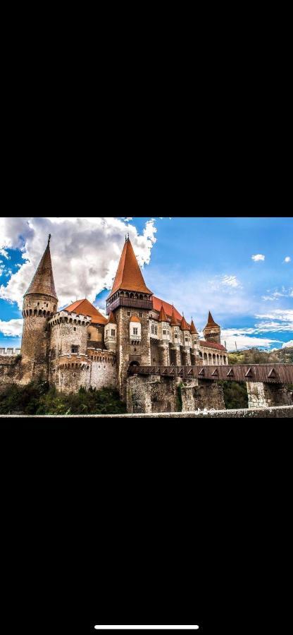 Cabana Tip A La 300 M De Castel フネドアラ エクステリア 写真